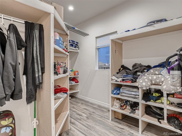 spacious closet featuring wood finished floors