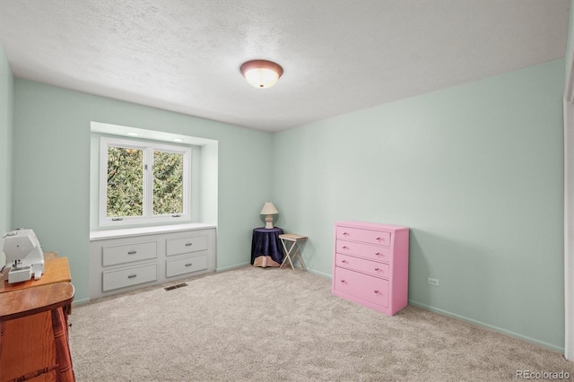 interior space with light carpet and a textured ceiling