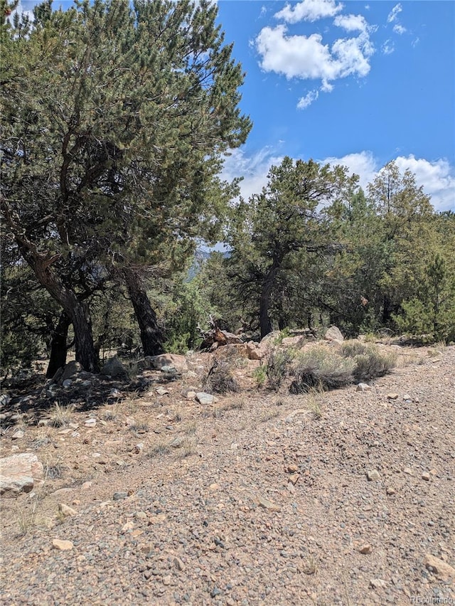 1799 Lone Pine Way, Crestone, CO 81131 - photo 2