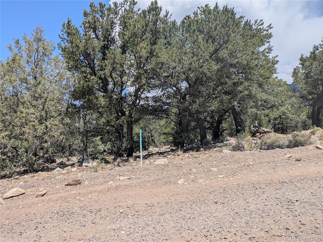 1799 Lone Pine Way, Crestone, CO 81131 - photo 3