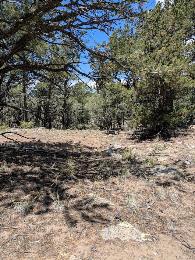 1799 Lone Pine Way, Crestone, CO 81131 - photo 4