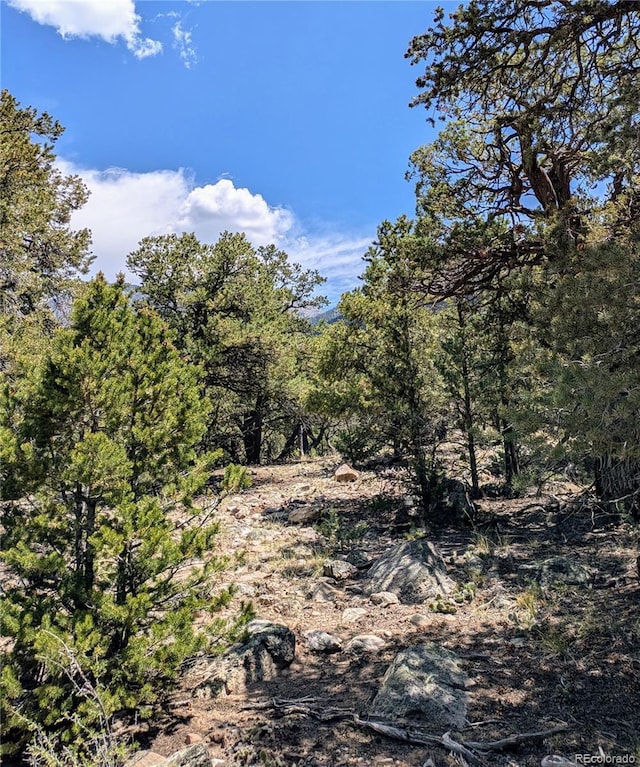 1799 Lone Pine Way, Crestone, CO 81131 - photo 5