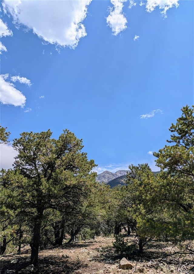 1799 Lone Pine Way, Crestone, CO 81131 - photo 6