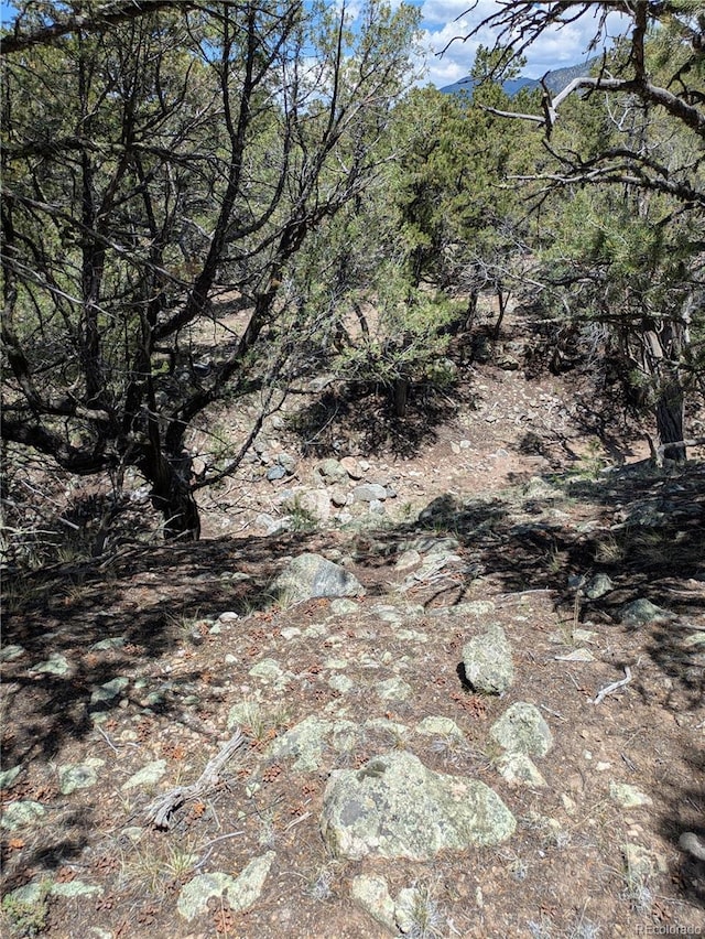 1799 Lone Pine Way, Crestone, CO 81131 - photo 7