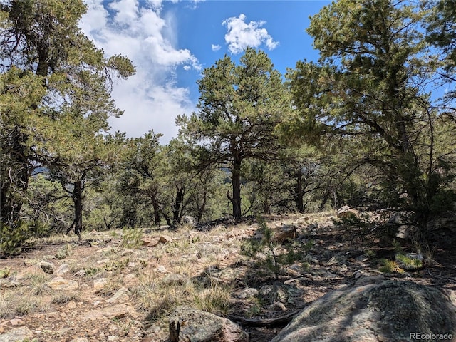1799 Lone Pine Way, Crestone, CO 81131 - photo 13