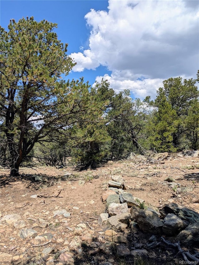 1799 Lone Pine Way, Crestone, CO 81131 - photo 14