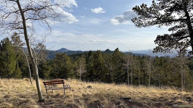 239 Homestead Rd, Divide, CO 80814