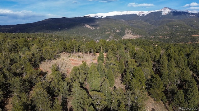239 Homestead Rd, Divide, CO 80814