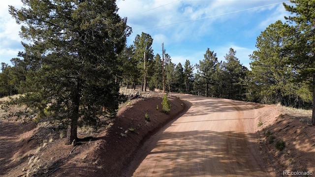239 Homestead Rd, Divide, CO 80814