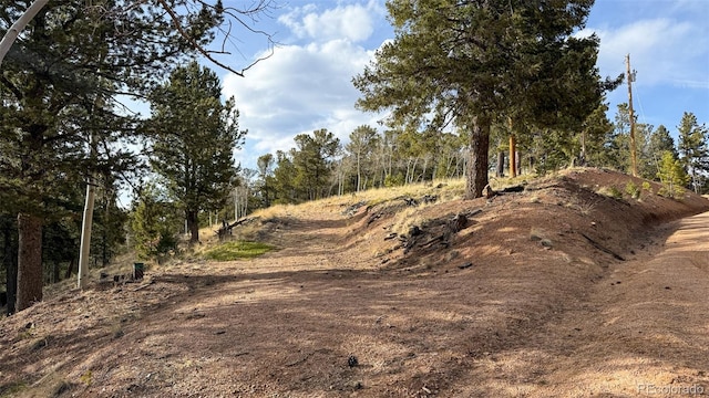 239 Homestead Rd, Divide, CO 80814