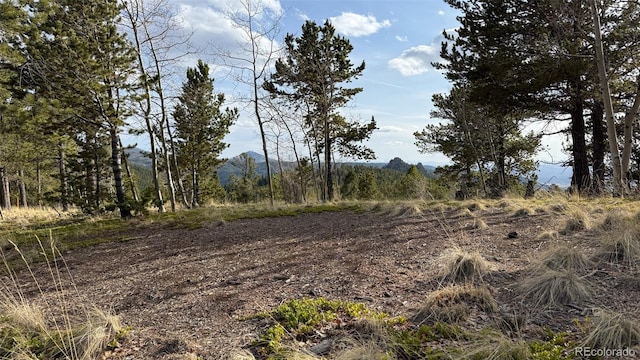 239 Homestead Rd, Divide, CO 80814