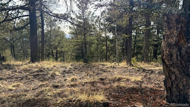 239 Homestead Rd, Divide, CO 80814