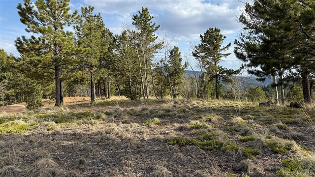 239 Homestead Rd, Divide, CO 80814