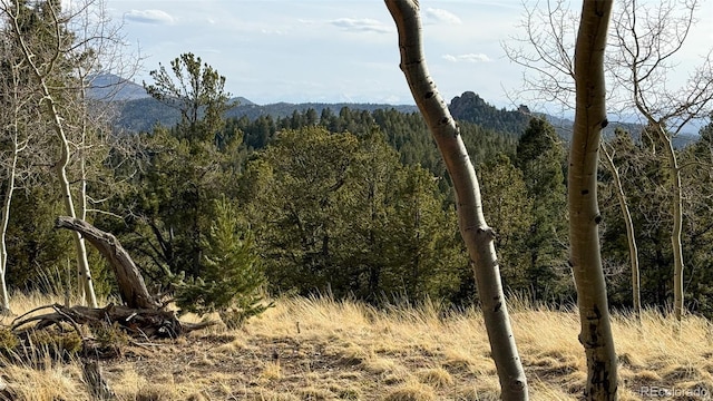 239 Homestead Rd, Divide, CO 80814