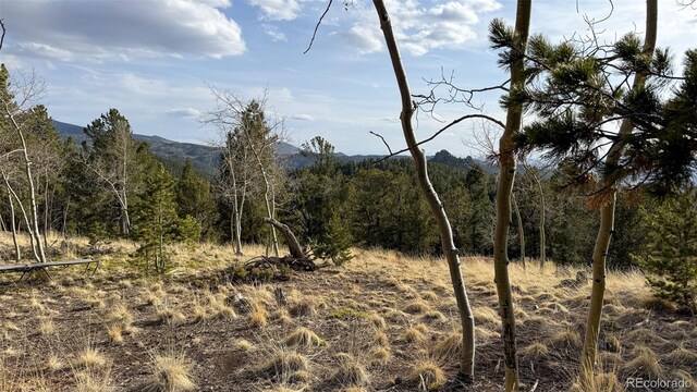 239 Homestead Rd, Divide, CO 80814