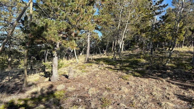 239 Homestead Rd, Divide, CO 80814