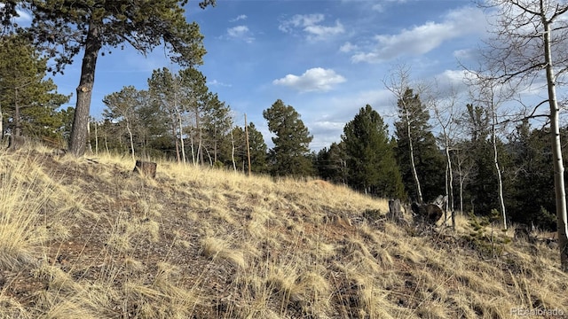 239 Homestead Rd, Divide, CO 80814