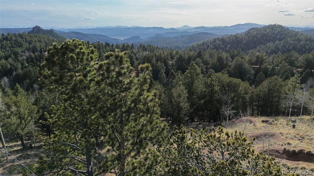 239 Homestead Rd, Divide, CO 80814