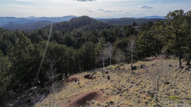 239 Homestead Rd, Divide, CO 80814