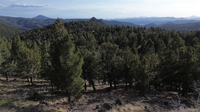 239 Homestead Rd, Divide, CO 80814
