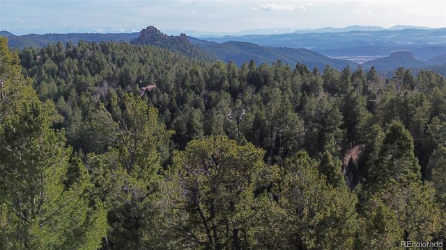 239 Homestead Rd, Divide, CO 80814