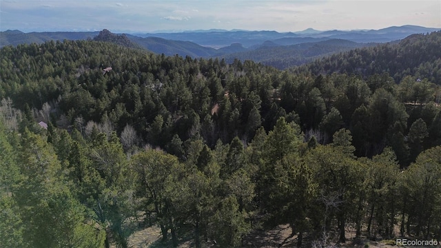 239 Homestead Rd, Divide, CO 80814