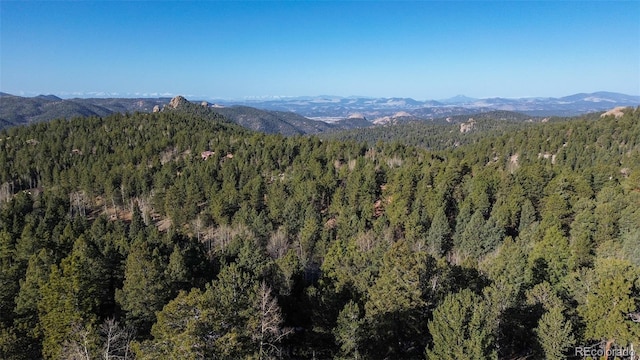 239 Homestead Rd, Divide, CO 80814