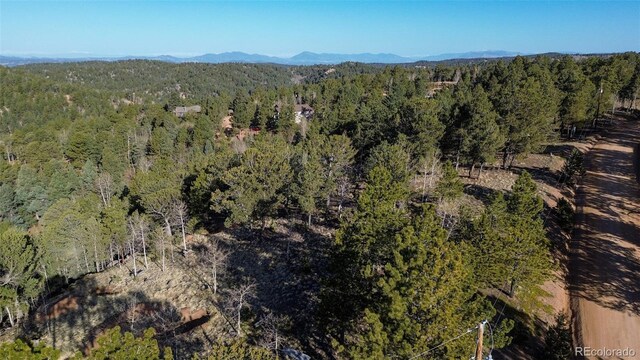 239 Homestead Rd, Divide, CO 80814