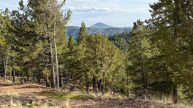 239 Homestead Rd, Divide, CO 80814