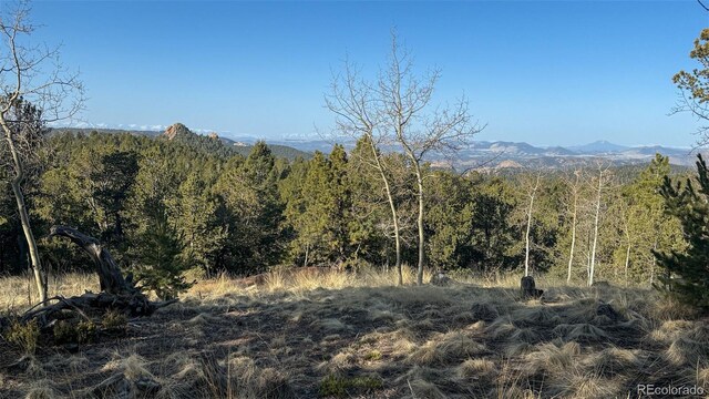 239 Homestead Rd, Divide, CO 80814