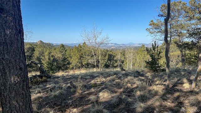 239 Homestead Rd, Divide, CO 80814