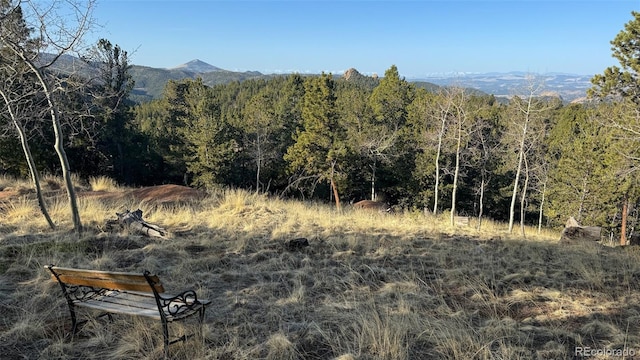 239 Homestead Rd, Divide, CO 80814