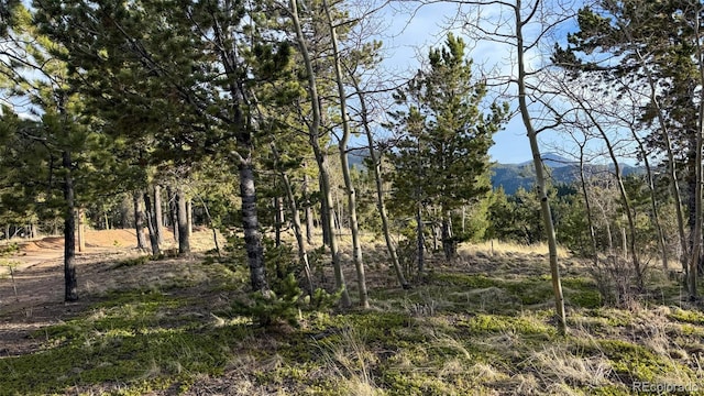 239 Homestead Rd, Divide, CO 80814