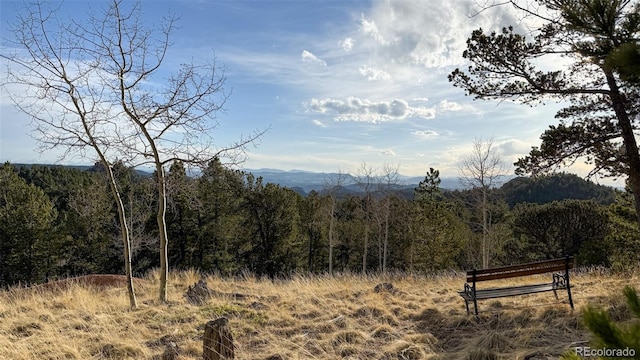 239 Homestead Rd, Divide, CO 80814