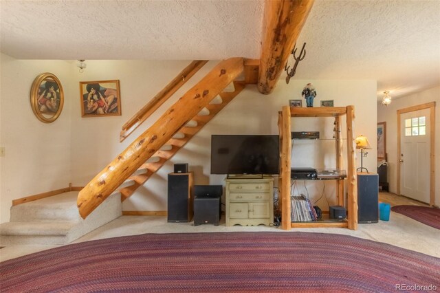 1020 Mountain Ave, Grand Lake, CO 80447 - photo 5