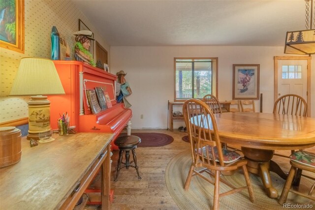1020 Mountain Ave, Grand Lake, CO 80447 - photo 18