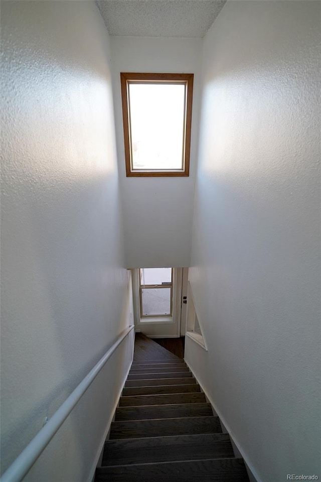 staircase featuring hardwood / wood-style floors