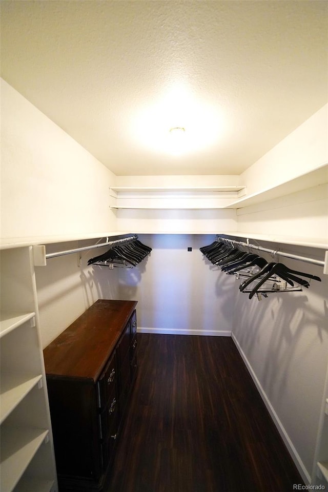 walk in closet with dark hardwood / wood-style floors