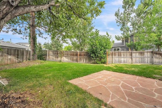 8479 Rabbitbrush Way, Parker, CO 80134 - fenced backyard with a patio