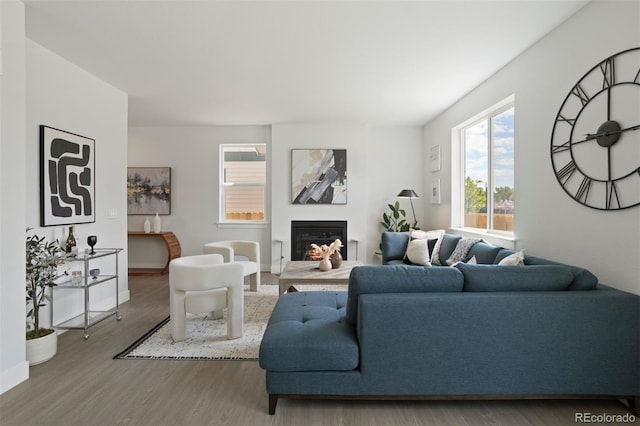 living area featuring a glass covered fireplace, baseboards, and wood finished floors