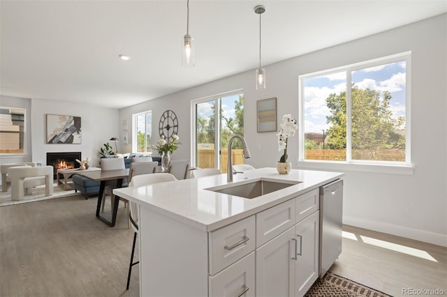 kitchen featuring light wood-type flooring, stainless steel dishwasher, a sink, pendant lighting, and a glass covered fireplace