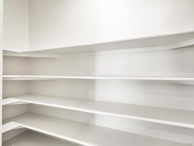 1612 Colorado River Dr, Windsor, CO 80550 - view of pantry