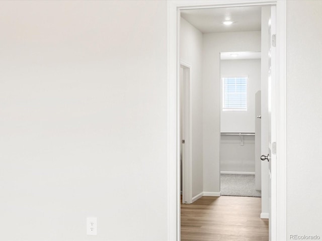 1612 Colorado River Dr, Windsor, CO 80550 - corridor with baseboards and wood finished floors