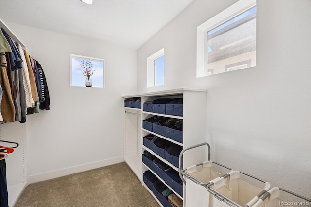 4177 E 98th Pl, Thornton, CO 80229 - spacious closet featuring carpet