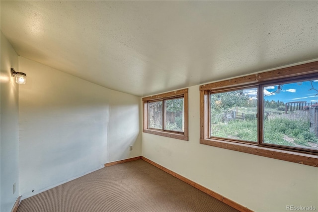 spare room featuring vaulted ceiling, carpet, and a textured ceiling