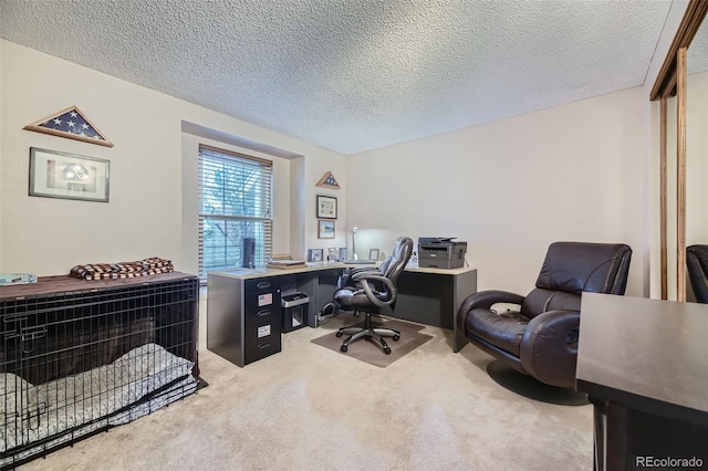 carpeted office space with a textured ceiling