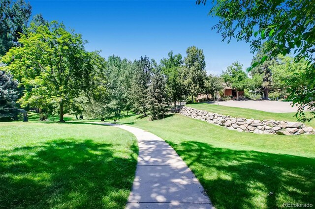 view of community featuring a yard