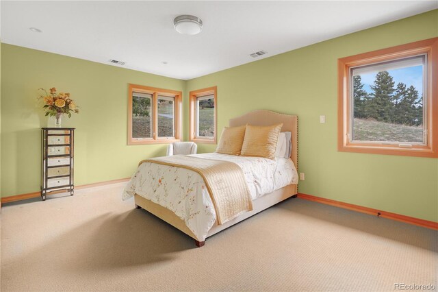 25803 Aspen Way, Golden, CO 80401 - bedroom featuring carpet floors and baseboards