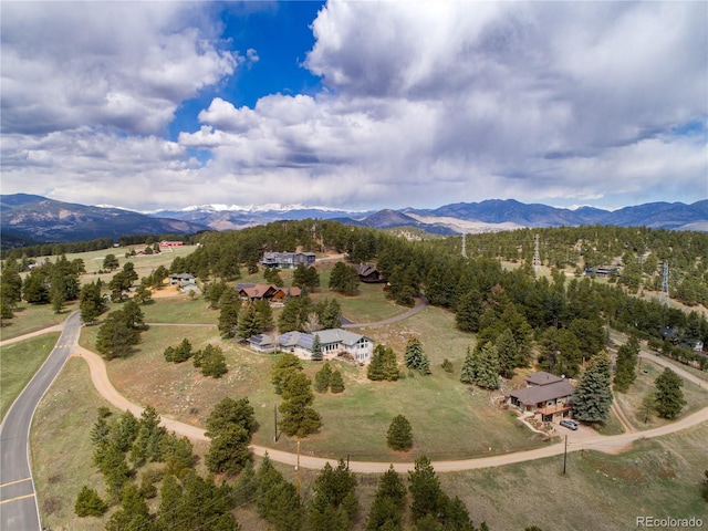 25803 Aspen Way, Golden, CO 80401 - photo 7