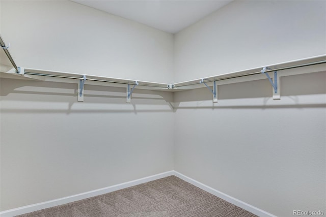 3394 N Grand Baker Ct, Aurora, CO 80019 - walk in closet with carpet flooring